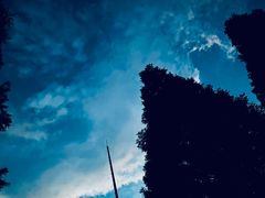 -武陵山森林公园