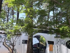 -小小饭店·休闲农庄·安吉松树林里的农家菜