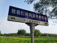 -渔岛海洋度假区