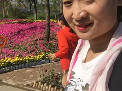 -小绿谷公园
