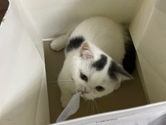 -植物学家的女儿(北马道巷店)