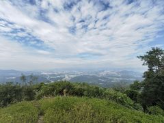 -黄埔油麻山森林公园