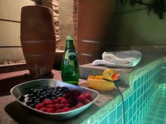 -春晖园度假酒店温泉