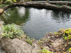 -鸿山公园