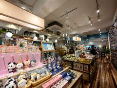 -猫的天空之城概念书店(束河店)