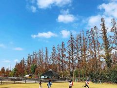 -前小桔亲子创意农场·草莓采摘·露营烧烤