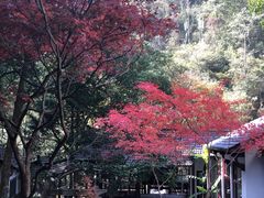 -大慈岩风景区