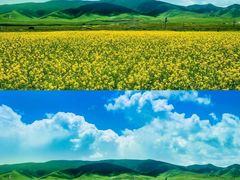 -青海湖国家重点风景名胜区