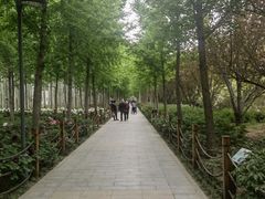-仁和公园(顺义区)
