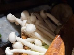 -捞王锅物料理(凯旋路店)