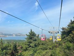 -摩天岭风景区