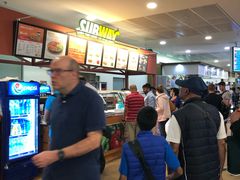 -西沃古尔·拉姆古兰爵士国际机场