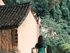 -杨家堂村