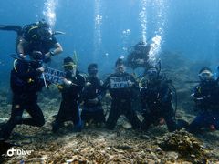 -上海潜殿潜水中心