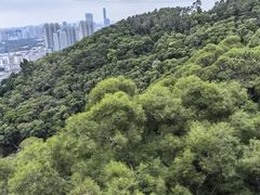 -仙岳公园