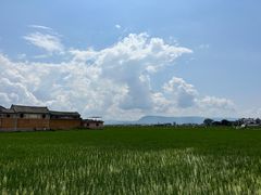 -喜林苑·稻田餐厅(品相府店)