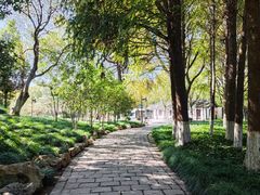 -瀛洲公园