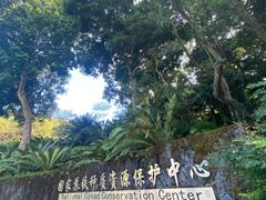 -深圳仙湖植物园