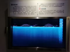-白鹤梁水下博物馆