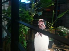 -恐龙人俱乐部