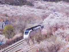 -居庸关长城