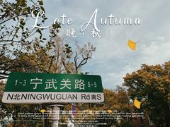 -八大关景区