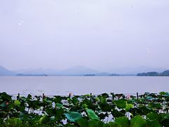 -湖畔居茶楼(湖滨店)