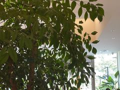 -Peet's 皮爷咖啡(海雅缤纷城店)