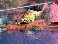 -帝企鹅自助餐厅•儿童岛•真企鹅(长隆企鹅酒店)