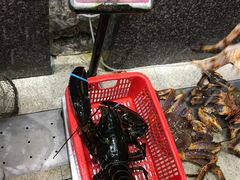 -蚝专家(北滘店)