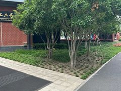 -浦江二号·独栋江景餐厅(滨江大道店)