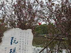 -翠湖公园