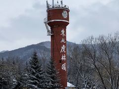 -横道河子东北虎林园
