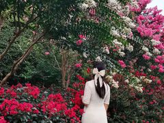 -杭州城北体育公园