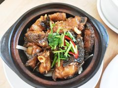 石斑鱼煲-戏台船坞海鲜排档