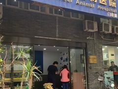 -伟伟宠物医院·CT影像中心·瑞派犬猫综合性门诊(汉口总院)