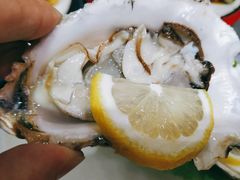 湛江生蚝-金龙·打边炉(武进路店)