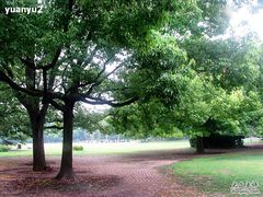 -御花园·粤菜·海鲜火锅(中山公园店)