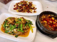 -陈麻婆豆腐总店