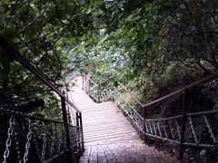 -龙道沟景区