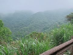 -梧桐山风景名胜区