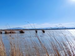 -野鸭湖国家湿地公园