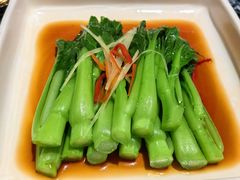 -新雅(丰盛里店)
