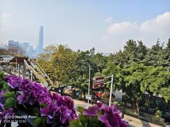 -李子坝梁山鸡(李子坝大鸡哥店)