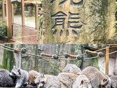 -杭州野生动物世界