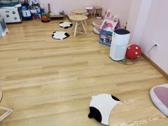 -猫咪派对(江南西店)