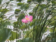 -敕勒川草原文化旅游区