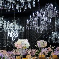 -美薇亭婚礼顾问