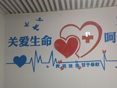-守诺宠物医院·眼科· 特色牙科·异宠专科(虹口店)
