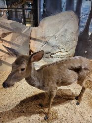 -酷嗒动物文化乐园(cutezoo西溪乐天城店)